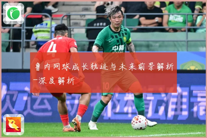 鲁内网球成长轨迹与未来前景解析-深度解析